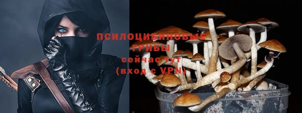 эйфоретик Алексеевка