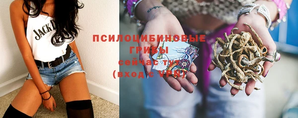 2c-b Россошь