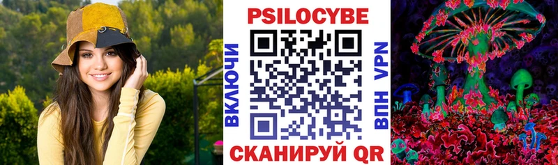Псилоцибиновые грибы Psilocybe блэк спрут ссылки Ветлуга